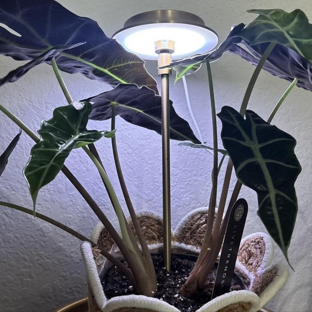 Hearth & Hand LED Indoor Plant Grow Light - Picture 5 of 5